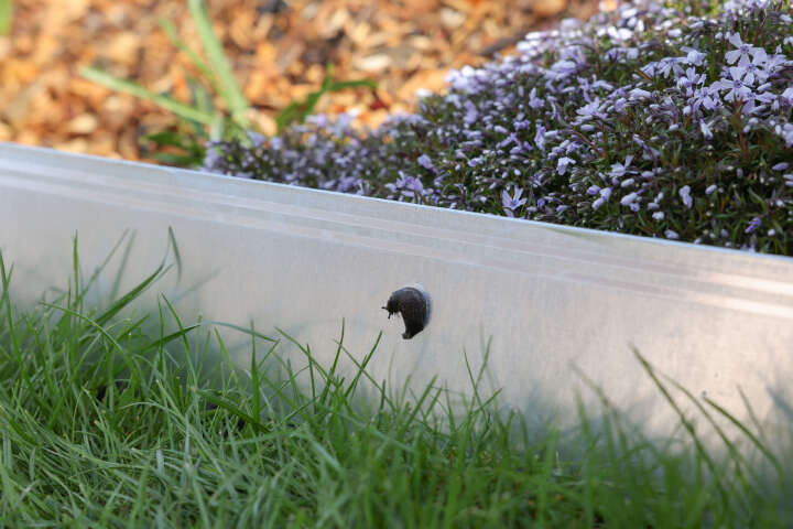 KERBL SnailStop Zaunband elektrischer Schneckenzaun